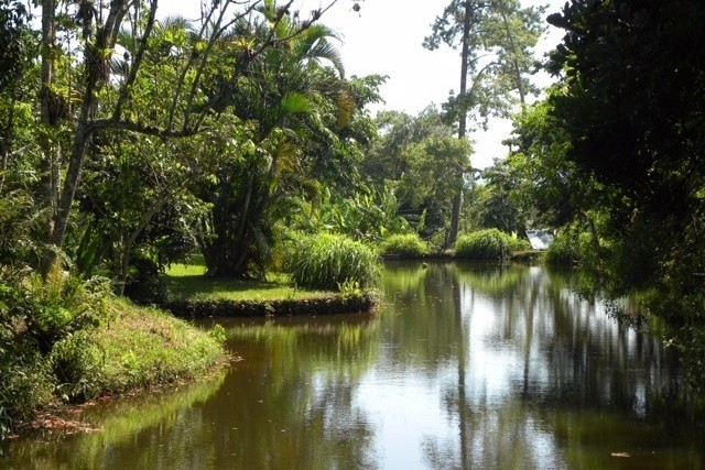 Ponto Comercial Pousada Bosque das Vieiras, Castanheira - PORTO BELO