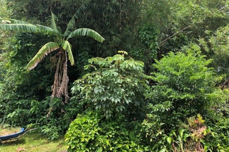 Terreno , Lagoa da Conceição - Florianópolis