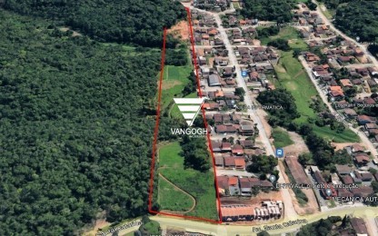 Terreno , Floresta - JOINVILLE