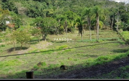 Terreno Terreno Na Barra, Barra - Balneário Camboriú