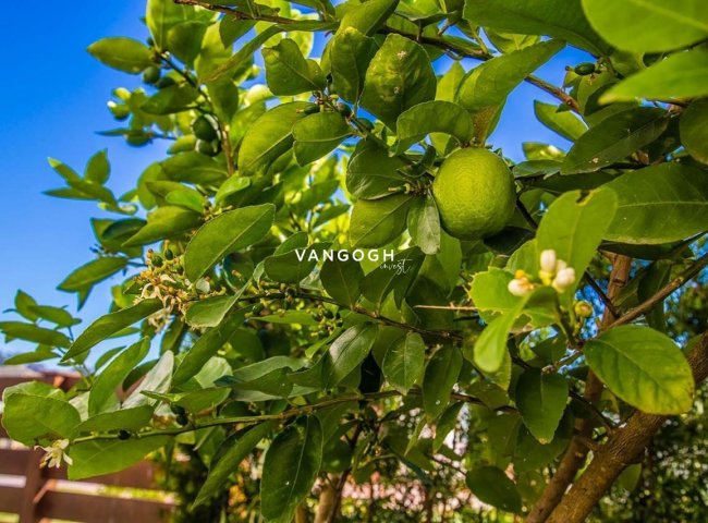 Apartamento Brava Home Resort, Praia Brava - Itajaí