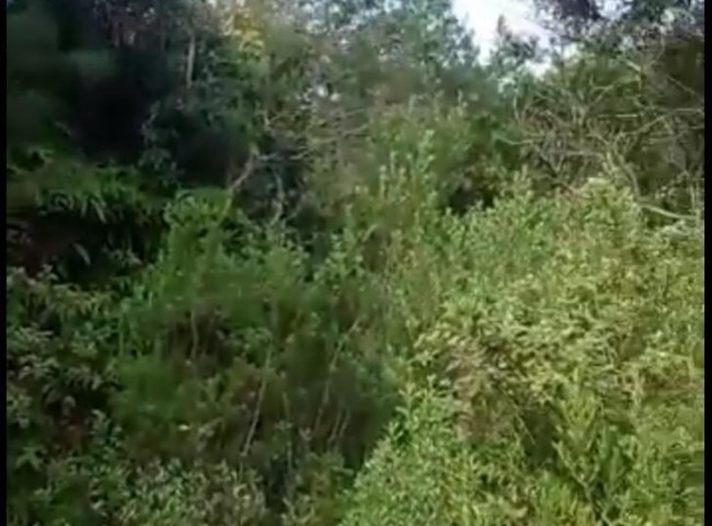 Terreno , Barra - Balneário Camboriú