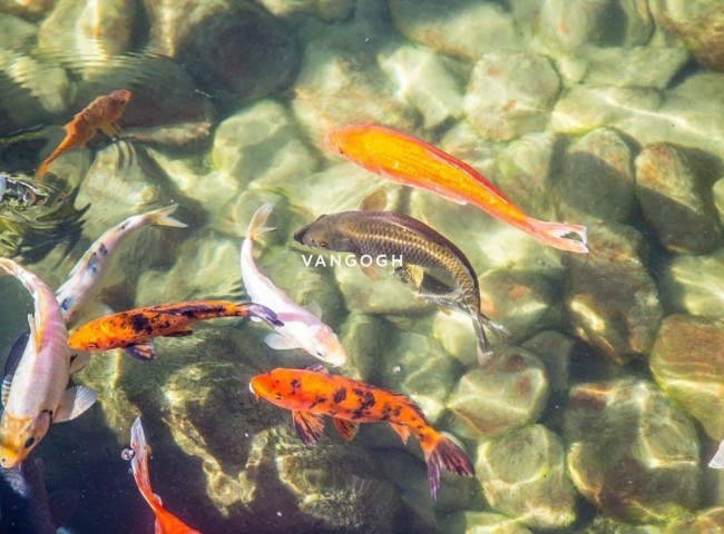 Apartamento Brava Home Resort, Praia Brava - Itajaí