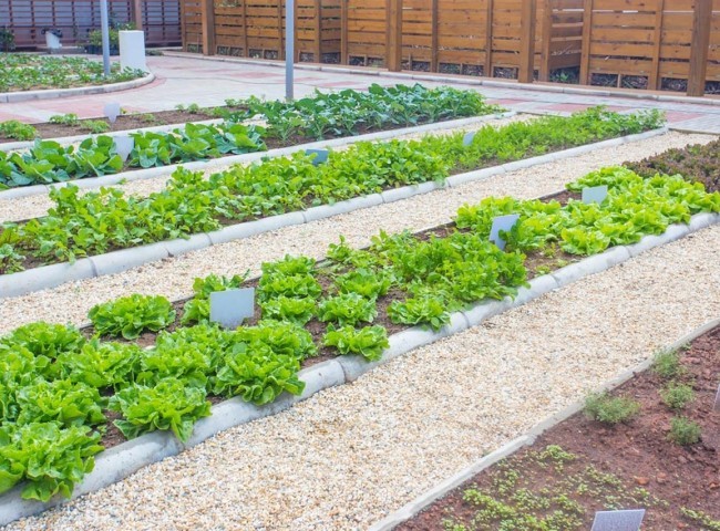 Apartamento 4 dormitórios Brava Home Resort, Praia Brava - Itajaí