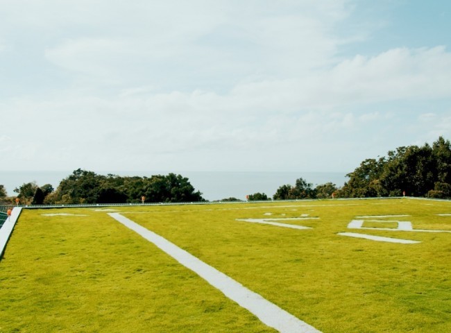 Apartamento 4 dormitórios Bravíssima Private Residence