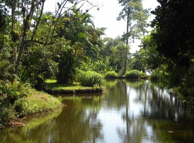 Ponto Comercial Pousada Bosque das Vieiras, Castanheira - PORTO BELO