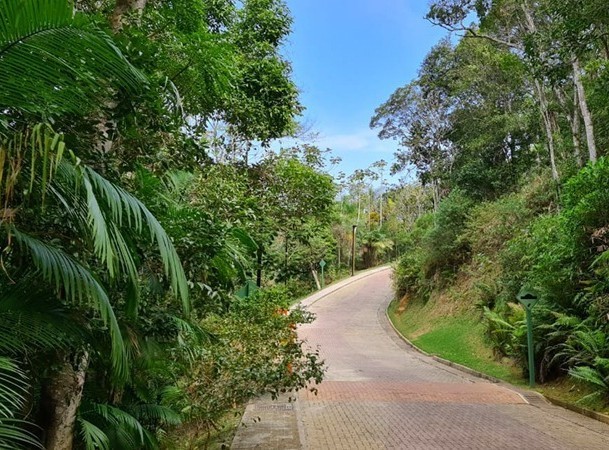 Apartamento 4 dormitórios Bravíssima Private Residence