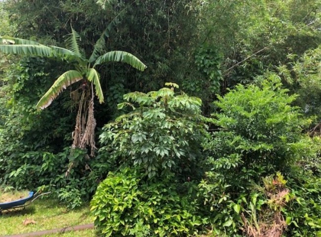 Terreno , Lagoa da Conceição - Florianópolis