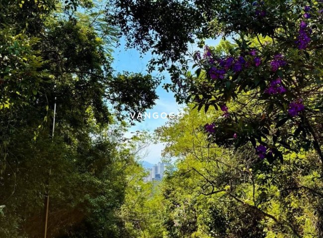 Apartamento 4 dormitórios Bravíssima Private Residence