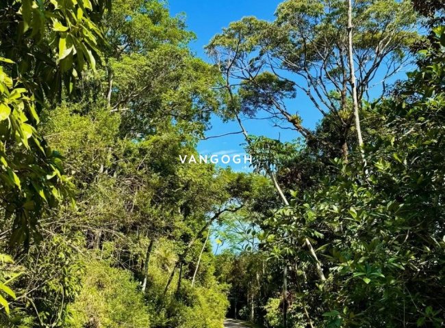 Apartamento 4 dormitórios Bravíssima Private Residence