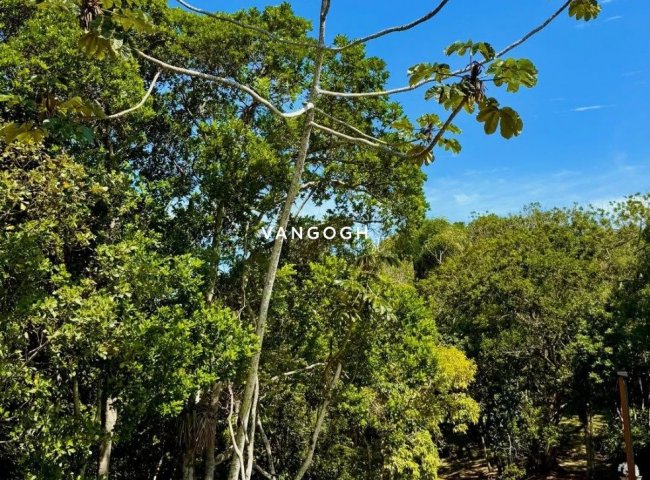 Apartamento 4 dormitórios Bravíssima Private Residence