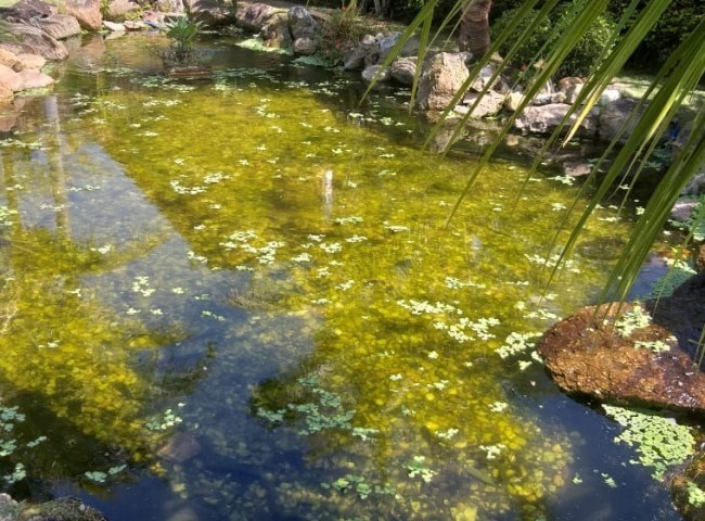 Casa 4 dormitórios , Taquaras - Balneário Camboriú