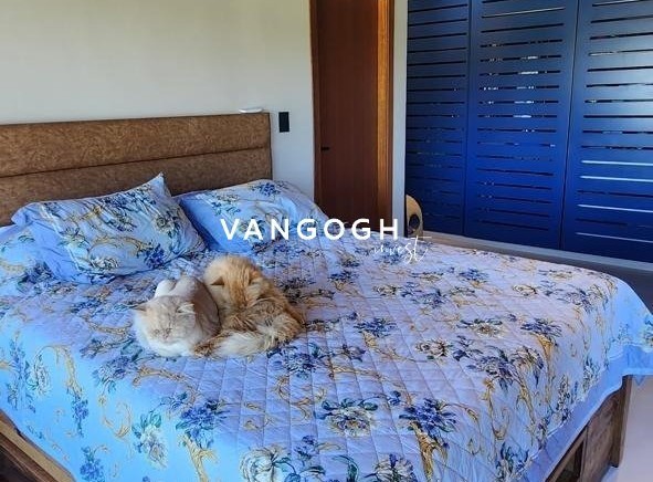 Casa 3 dormitórios Casa Em Florianópolis, Açores - Florianópolis